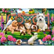 Puzzle Castorland Animais de Estimação no Parque de 1000 Pçs