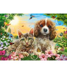 Puzzle Castorland Melhores Amigos de 500 Peças