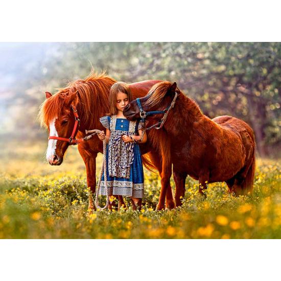 Puzzle Castorland My Little Pony 500 peças