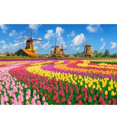 Puzzle Castorland Moinhos Holandeses Entre Tulipas 1000 Peças