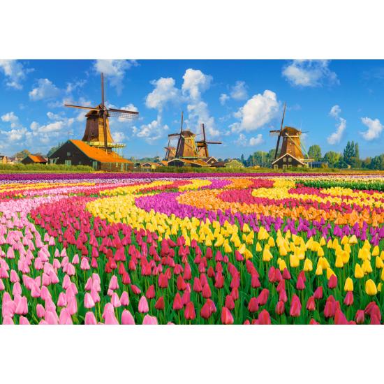 Puzzle Castorland Moinhos Holandeses Entre Tulipas 1000 Peças