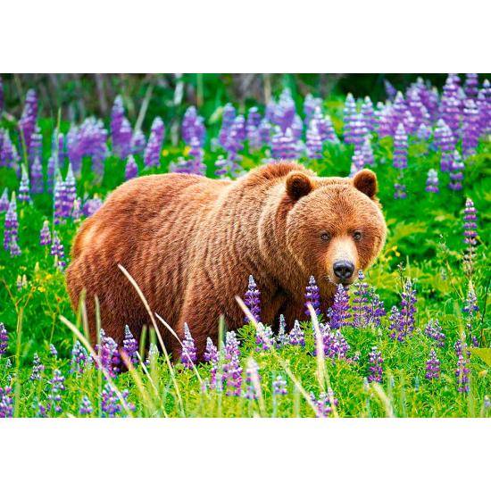 Puzzle Castorland Urso no Prado 500 peças