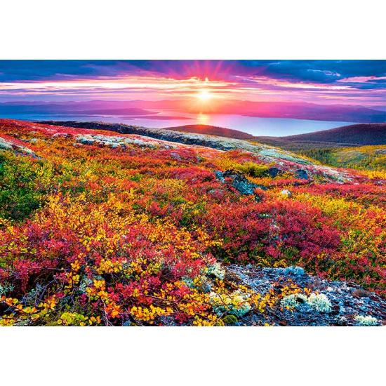 Puzzle de 1000 peças Paleta Castorland Northern Flowers