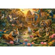 Puzzle Castorland Paraíso Dos Tigres 1000 peças