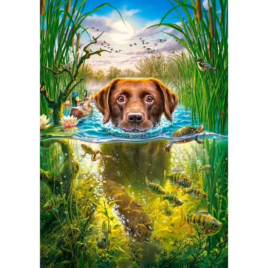 Puzzle Castorland cão de natação 500 peças