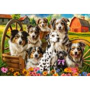 Puzzle Castorland Cães Felizes No Campo 1000 peças