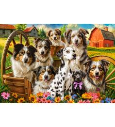 Puzzle Castorland Cães Felizes No Campo 1000 peças