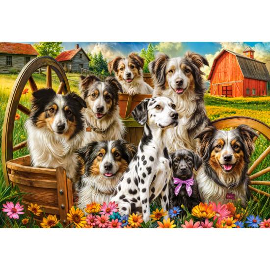 Puzzle Castorland Cães Felizes No Campo 1000 peças