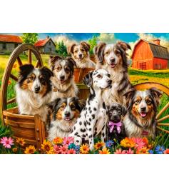 Puzzle Castorland Cães Felizes No Campo de 260 peças