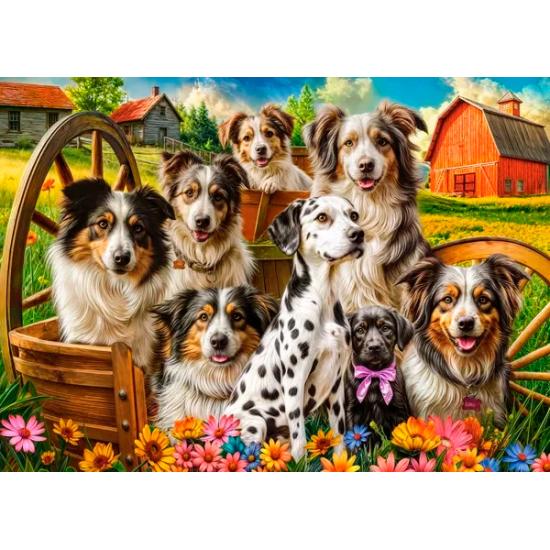 Puzzle Castorland Cães Felizes No Campo de 260 peças