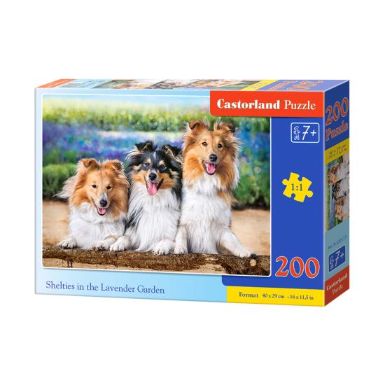 Puzzle Castorland Cães Shelties na Lavanda 200 Pzs