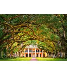 Puzzle Castorland Plantação Oak Walk 1000 peças