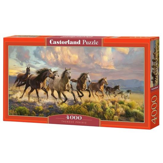 Puzzle Castorland Pradaria Do Trovão 4000 peças