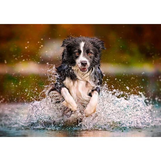 Puzzle Castorland saboreando a liberdade de 500 peças