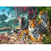 Puzzle Castorland Santuario de Tigres de 3000 peças