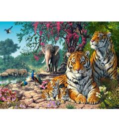 Puzzle Castorland Santuario de Tigres de 3000 peças