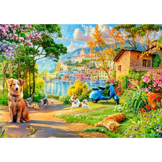 Puzzle Castorland Caminho Do Lago de 500 peças