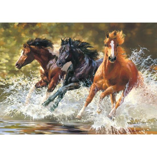Puzzle Castorland Splash 500 peças