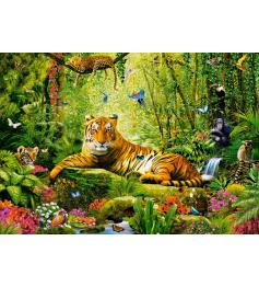 Puzzle Castorland Sua Majestade, O Tigre de 500 peças