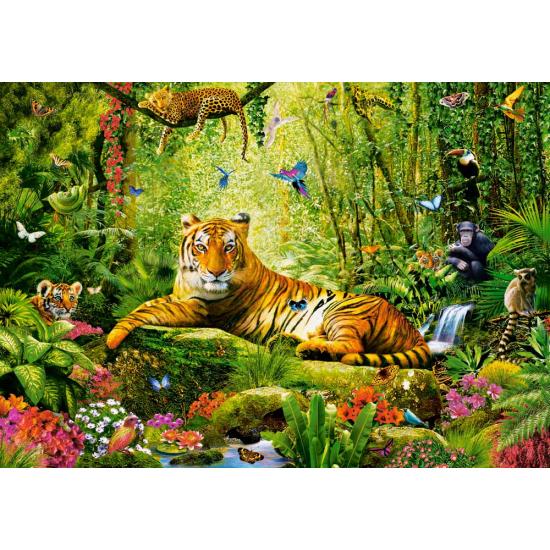 Puzzle Castorland Sua Majestade, O Tigre de 500 peças