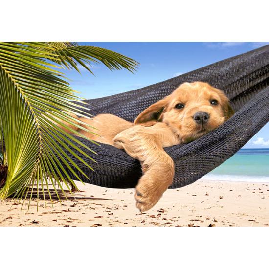 Puzzle Castorland Rest Time 500 Peças