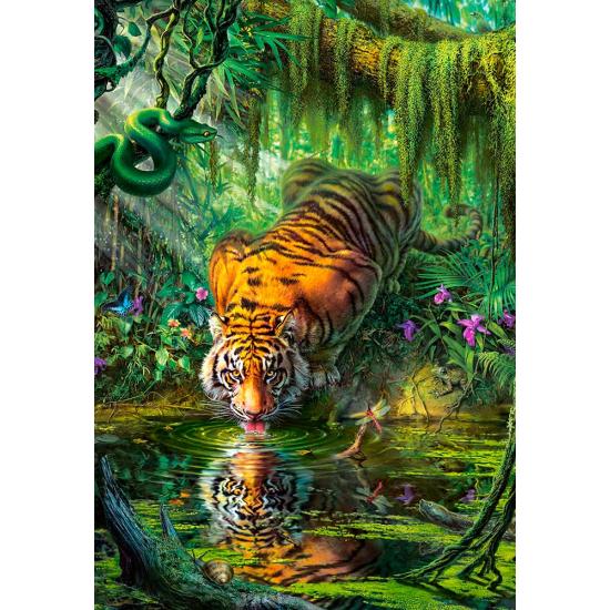 Puzzle Castorland Tiger in the Jungle 1000 peças