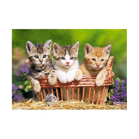 Puzzle Castorland Três Gatinhos Adoráveis 500 Peças