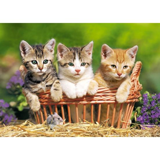 Puzzle Castorland Três Gatinhos na Cesta 500 Peças