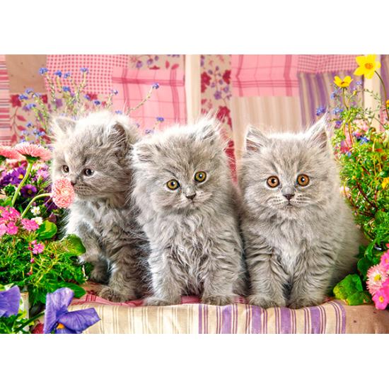 Puzzle Castorland Três Gatinhos Cinza 260 Peças