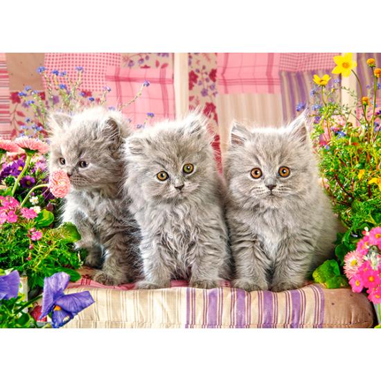 Puzzle Castorland Três Gatinhos Cinzentos 300 Peças