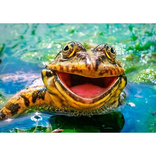 Puzzle Castorland Verde e Divertido 500 Peças Puzzle Castorland Verde e Divertido 500 Peças
