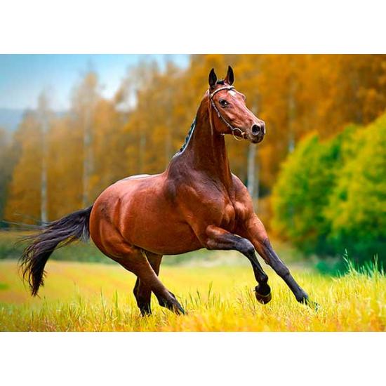 Puzzle Castorland Outono Vento 180 Peças