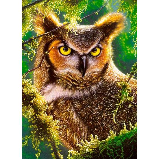 Puzzle Castorland Assistindo e Esperando de 300 peças