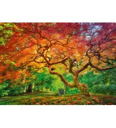 Puzzle Cherry Pazzi Red Splattered Tree 1000 peças