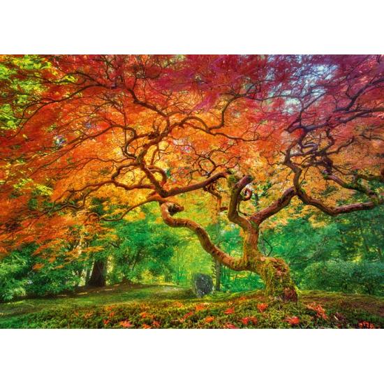 Puzzle Cherry Pazzi Red Splattered Tree 1000 peças