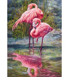 Puzzle Cherry Pazzi Flamingos 1000 peças