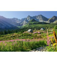 Puzzle Cherry Pazzi Hala Gasienicowa, Montanhas Tatra 100