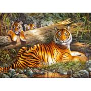 Puzzle Cherry Pazzi Calm Tiger 1000 peças