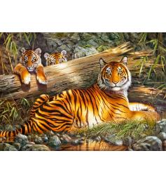 Puzzle Cherry Pazzi Calm Tiger 1000 peças