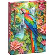 Puzzle Cherry Pazzi Um Milagre De Cores 1000 peças