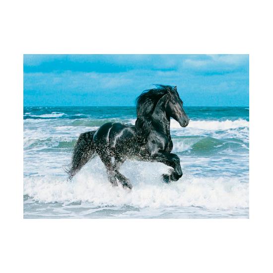 Puzzle Clementoni Caballo Negro de 500 Piezas