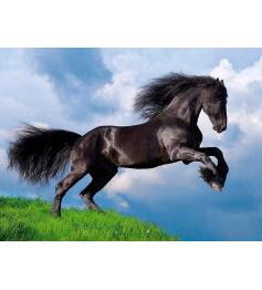 Puzzle de cavalo frisão preto Clementoni 500 peças