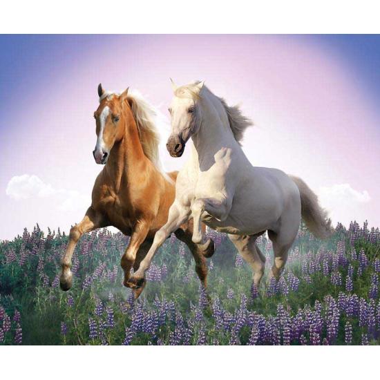 Puzzle Clementoni Cavalos Grátis 500 Peças