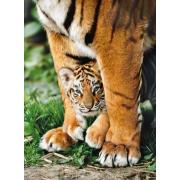 Puzzle Clementoni Bengal Tiger Cub 500 peças