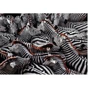 Puzzle Clementoni Zebras de 1000 Peças