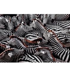 Puzzle Clementoni Zebras de 1000 Peças