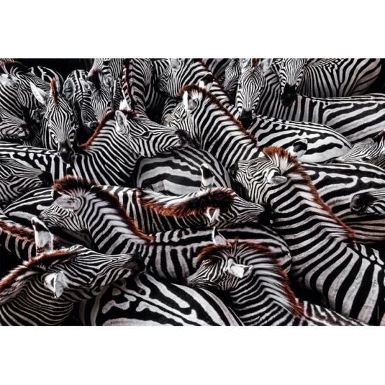 Puzzle Clementoni Zebras de 1000 Peças