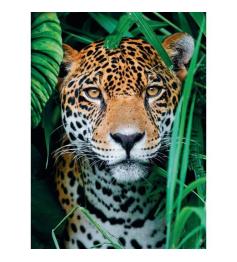 Clementoni Jaguar na selva 500 peças Puzzle