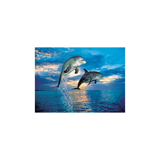 Puzzle Clementoni Dolphins de 500 Piezas