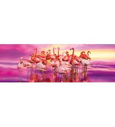 Puzzle Clementoni A Dança dos Flamingos 1000 Peças
